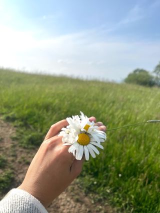 Priprav sa na štart 🍀 #RannáPrísaha #NaZdravie #NaÚspech #NaProsperitu #NaVedenie #NaPodnikanie #NovýDeň #NovýZačiatok...